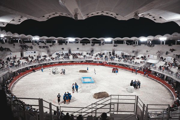 Boosting Your Basketball Career: The Power of Social Media for UK Players